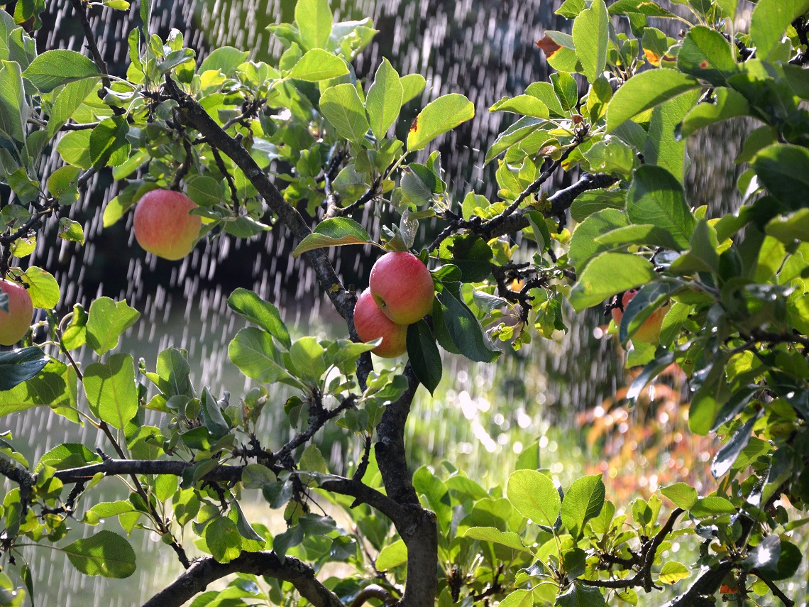 irrigazione campi