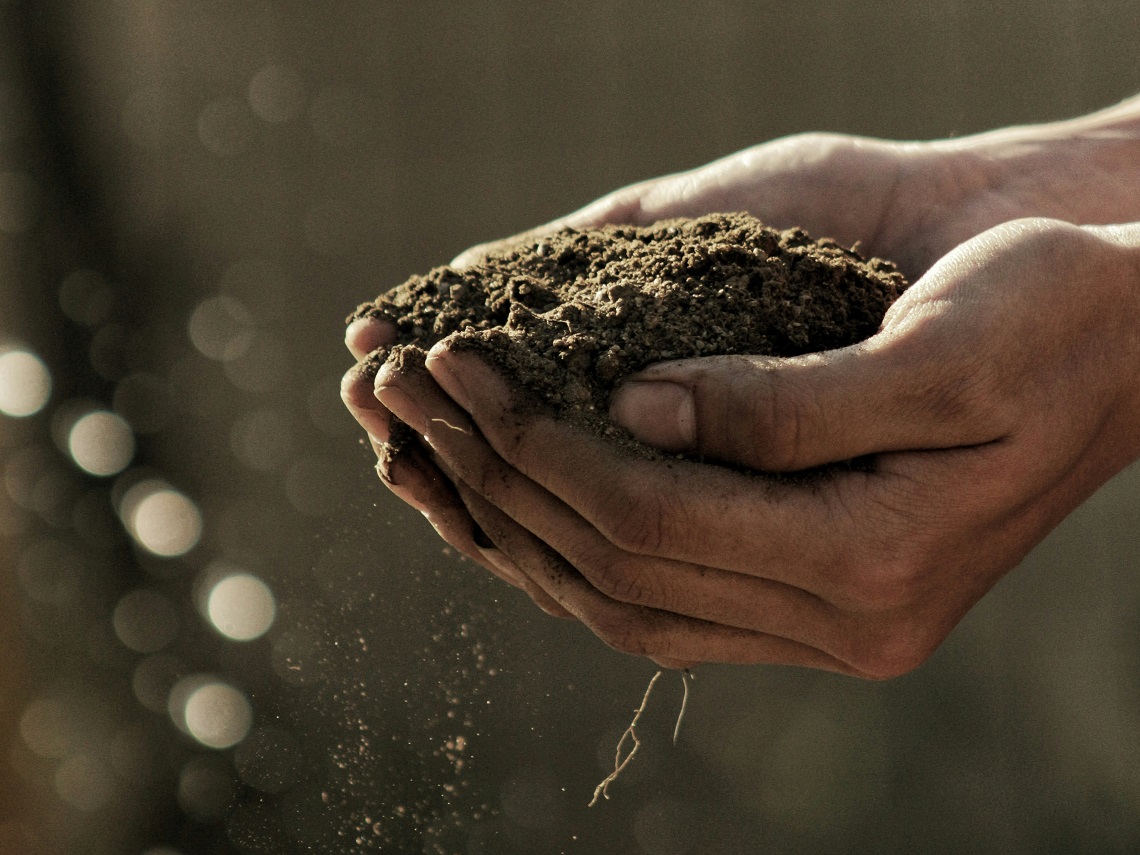 agricoltura